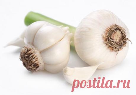 Какие овощи и фрукты можно вырастить дома —