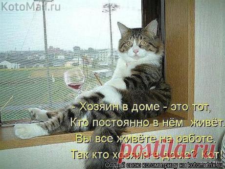 Кто хозяин?