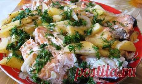 Лосось запеченный