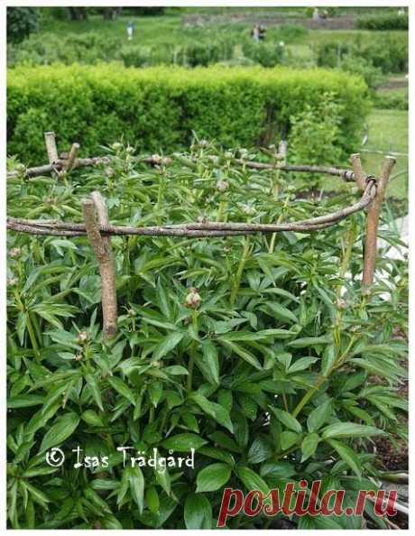 (11) Pinterest • Всемирный каталог идей