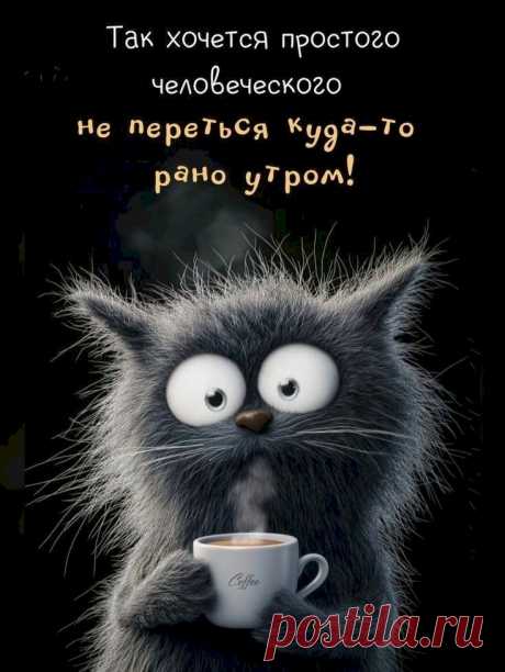 64a0cafe.jpg (735×978)