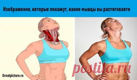 18 изображений, которые наглядно покажут, какие мышцы вы растягиваете.
Важно: обращайте внимание на свое дыхание и на то, чтобы растяжка не вызывала никакой боли. Удерживайте каждое положение от 10 до 30 секунд.Изображения, которые покажут, какие мышцы вы растягивае…