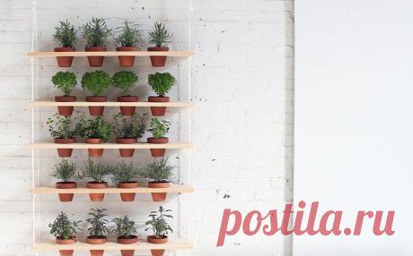Самодельная полка для горшечных растений
