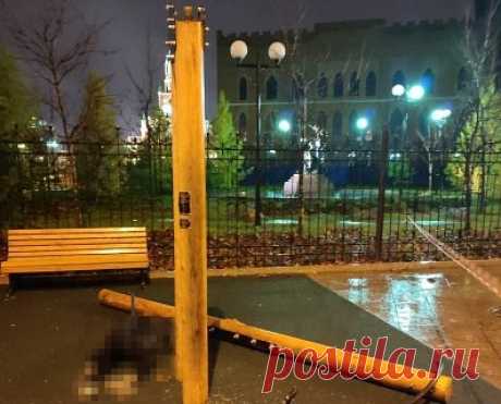 Подростка убило качелями в российском регионе. В Йошкар-Оле на детской площадке погиб 15-летний житель города. Инцидент произошел вечером 13 ноября на Воскресенской набережной. По данным следователей, на мальчика упали качели. От полученных повреждений подросток умер на месте. По факту произошедшего возбуждено уголовное дело.