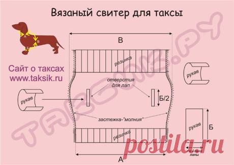 выкройка для собаки таксы - 115 тыс. картинок. Поиск Mail.Ru