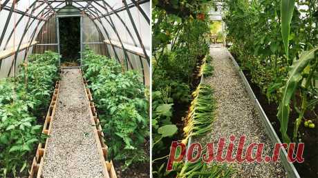Из чего сделать дорожку в теплице | Теплицы "Воля" | Яндекс Дзен