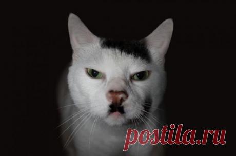 У природы отличное чувство юмора / Приколы