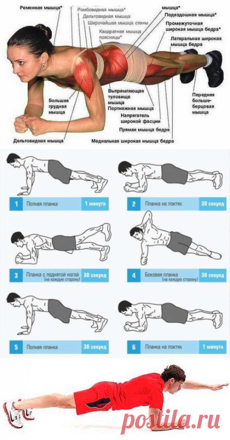 Лучшее упражнение планка