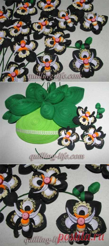 Квиллинг цветы. Натюрморт «Черная орхидея». | quilling-life.com