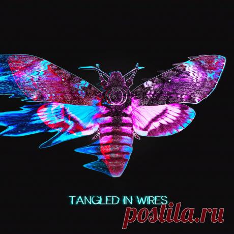 Sun's Spectrum - Tangled In Wires (Single) (2025) 320kbps / FLAC