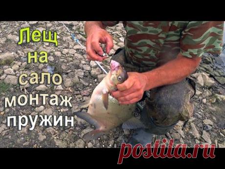 Эта снасть ловит леща и неплохо. Сало, Оснастка. Изготовление пружин. Монтаж. Первый лещ.Рыбалка.