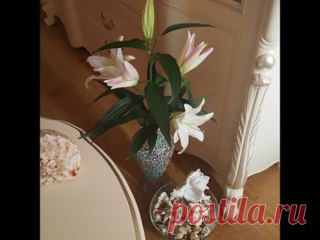 Ссылка на Хром -https://ru.iherb.com/pr/Now-Foods-Chromium-Picolinate-200-mcg-250-Capsules/508?rcode=ANT5044