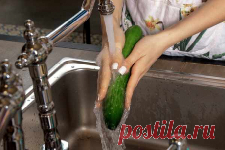 Как приготовить огуречный салат — Домашняя кулинария