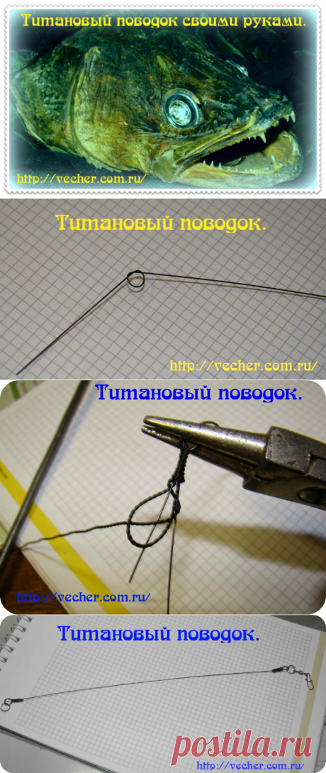 Поводки из титана. | Фирма дедушки Ашота