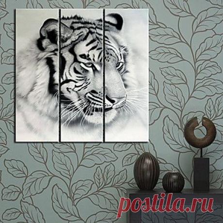 Картина-канвас, мотив Голова Тигра, 3шт. - USD $ 59.99