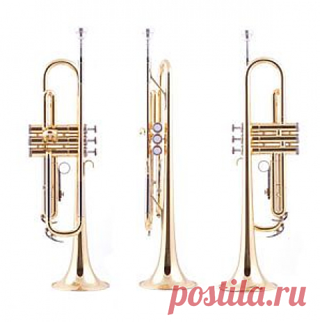 Почему исчезает трудовой энтузиазм и как его восстановить | Элитариум: Центр дистанционного образования