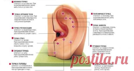 Массаж ушей | Ваш массаж