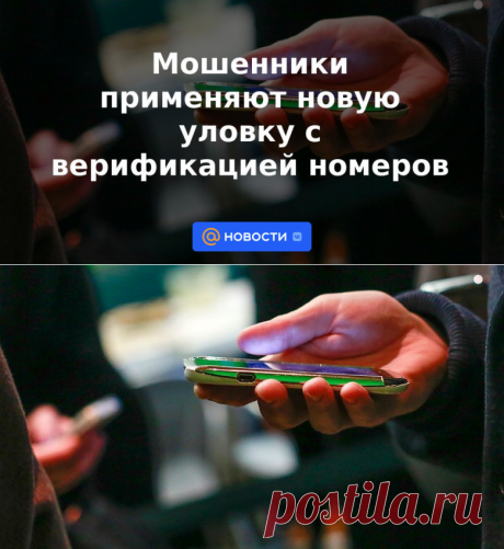 Мошенники применяют новую уловку с верификацией номеров - Новости Mail.ru