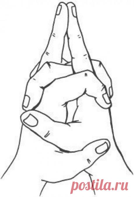 Зарядка для поджелудочной железы. | Здоровое питание