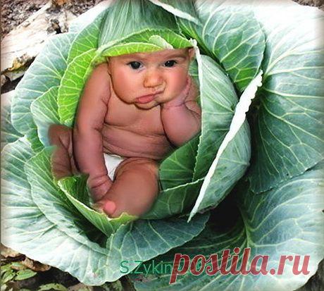 514e3f05cdeaa48a7c0d4ca2d71c494e.jpg (460×413)