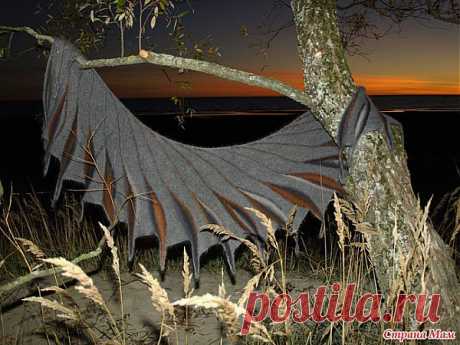 Красивая шаль спицами Жар птица с описанием..