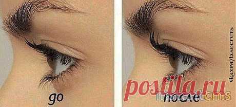 Питательная смесь для ресниц — Талгар - городской портал