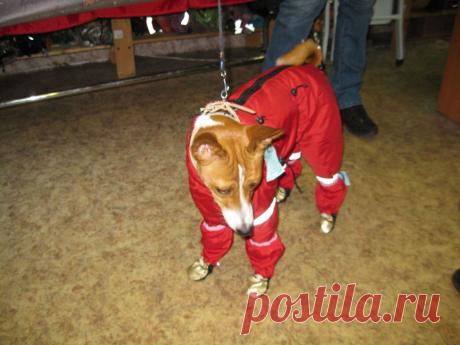 Хорошо когда есть постоянные клиенты...