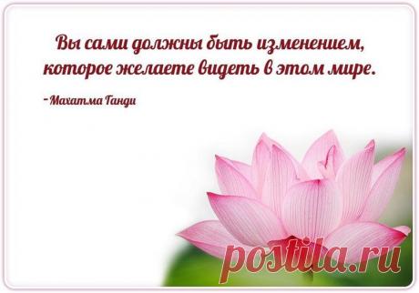 ВОЗРОЖДЕНИЕ НРАВСТВЕННОСТИ!