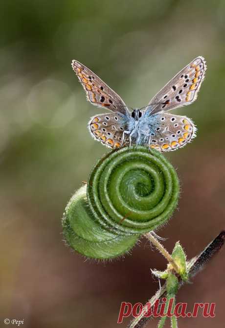 Найдено на сайте 500px.com.