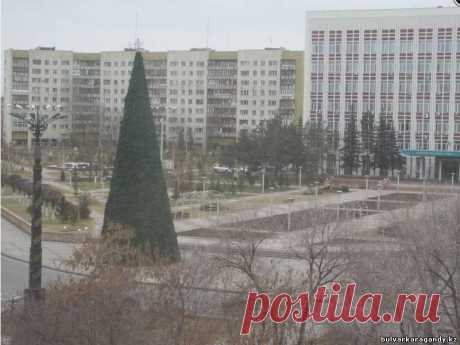 Сборка Новогодней Ёлки городского Акимата