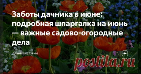 Заботы дачника в июне: подробная шпаргалка на июнь — важные садово-огородные дела Статья автора «Дачные истории» в Дзене ✍: Добрый день, дорогие друзья, садоводы и огородники! Приветствую вас в нашем сообществе "Дачные истории". Июнь – начало лета.