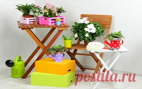 11 натуральных удобрений для домашних цветов — Умный совет