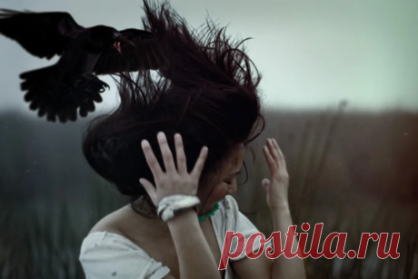 Знаки Вселенной, предупреждающие о бедах | Vdoh. No. Venie Чердачника | Дзен