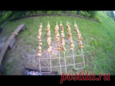 Можно ли есть улиток и какие улитки годятся в пищу