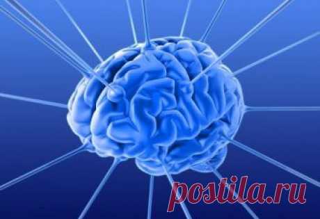 Как улучшить головного мозга | Планета женщин