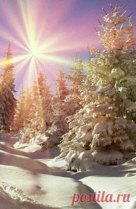 Зимнее утро❄️💥
Утро полное надежды и любви...☃️такое я желаю всем 💝
Шикарная работа нашего Создателя Бога!.Снежный пейзаж...Прекрасное красочных зимнее утро.Похоже на рождественскую звезду!Сказочное фото. 👍