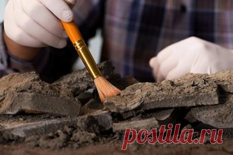 Российские археологи нашли 600-летний черпак из дерева