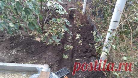 "Зачем мудрить?" Проектировщик ландшафта показал, как и куда проще всего отвести воду с крыши (практичное решение) | Строю для себя | Яндекс Дзен