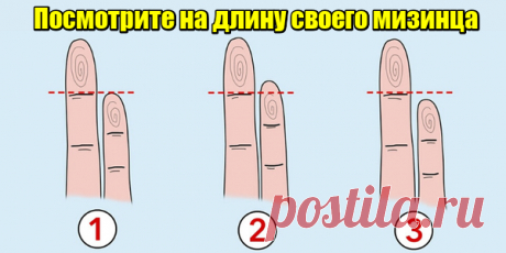 Длина вашего мизинца Pасскажет о вашем здоровье и личности