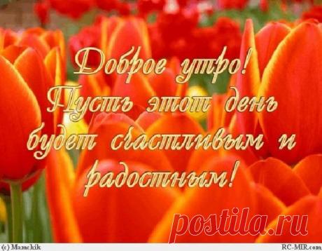 Любимая жена: Если чужая женщина кажется вам лучше своей – жизнерадостней, лучезарней, заботливей и красивей, то знайте, что ей просто повезло с мужчиной, не то, что вашей...