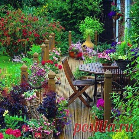 Жизнь в окружении цветов