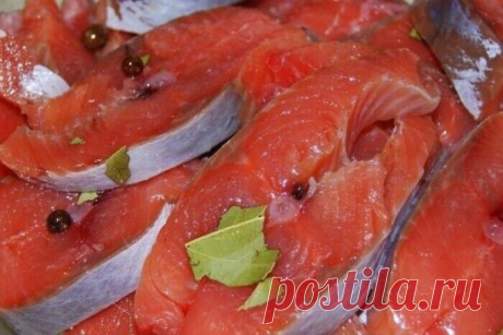 СОЛИМ ГОРБУШУ. 3 отличных рецепта!
Соленую горбушу готовят двумя способами:
1. Сухим. Для этого подготовленную тушку просто пересыпают солью со специями. Рыба пустит сок, соль растворится и пропитает продукт.
2. Мокрым. Для этого используются маринады, соки, рассолы. Кусочки рыбы погружают в холодную заливку и ждут готовности.
Как лучше засолить горбушу в домашних условиях, каждый выбирает сам. Но можно из одной рыбины сразу опробовать два или три способа и выбрать наиболе...