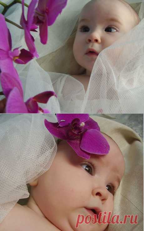 Если у вас сломался цветонос с красивыми цветочками (как это случилось с моей новой Орхидеей фиолетового цвета) не спешите расстраиваться, веточку поставьте в вазочку с водой и она вас порадует еще не один день. А еще можно воспользоваться случаем и устроить фотосессию.