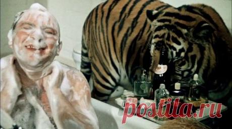 Смотреть онлайн фильм Полосатый рейс (1961) — рецензии, отзывы - кино Полосатый рейс в хорошем качестве (HD, HQ, HR) без регистрации - кадры из фильма - Афиша Mail.Ru