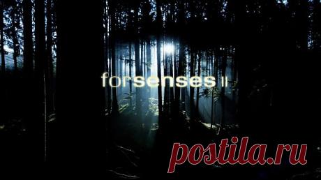 Увлекательное путешествие в мир природы и звука