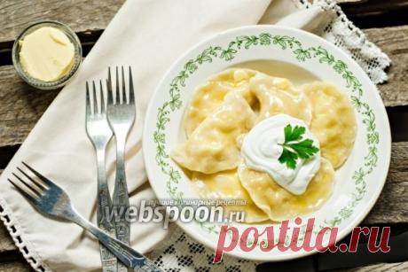 Вареники с сыром на газированной воде рецепт с фото, как приготовить на Webspoon.ru