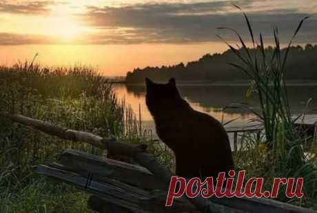 Утихает светлый ветер, Наступает серый вечер, Ворон канул на сосну, Тронул сонную струну. ... Александр Блок