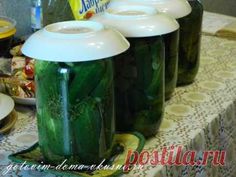 Маринованные хрустящие огурчики | Готовим Дома Вкусно