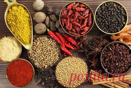 Специи и пряные травы. Как сочетать