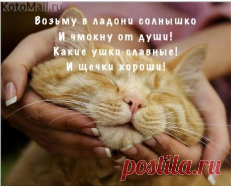 Солнышко в ладонях...